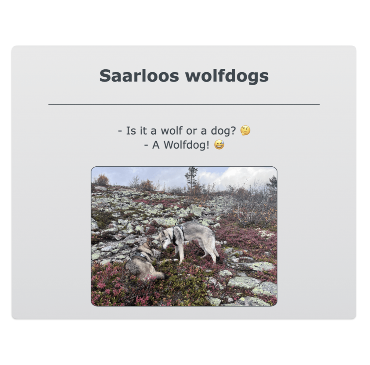 saarloos wofldogs landing page